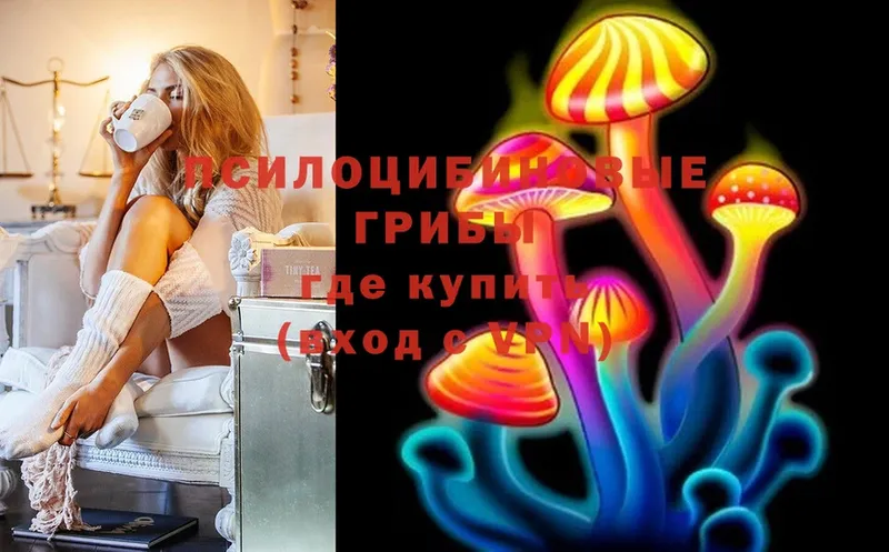 Галлюциногенные грибы MAGIC MUSHROOMS  купить закладку  kraken сайт  Рубцовск 